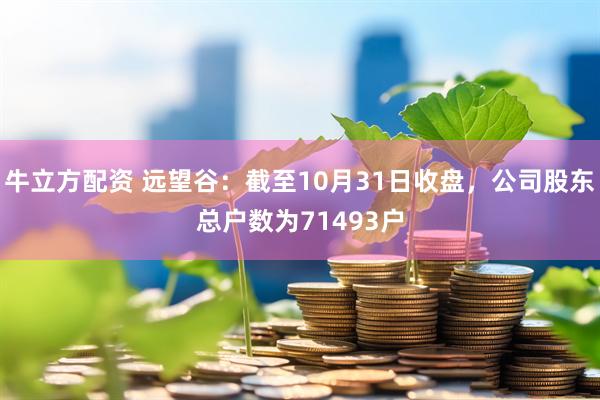 牛立方配资 远望谷：截至10月31日收盘，公司股东总户数为71493户